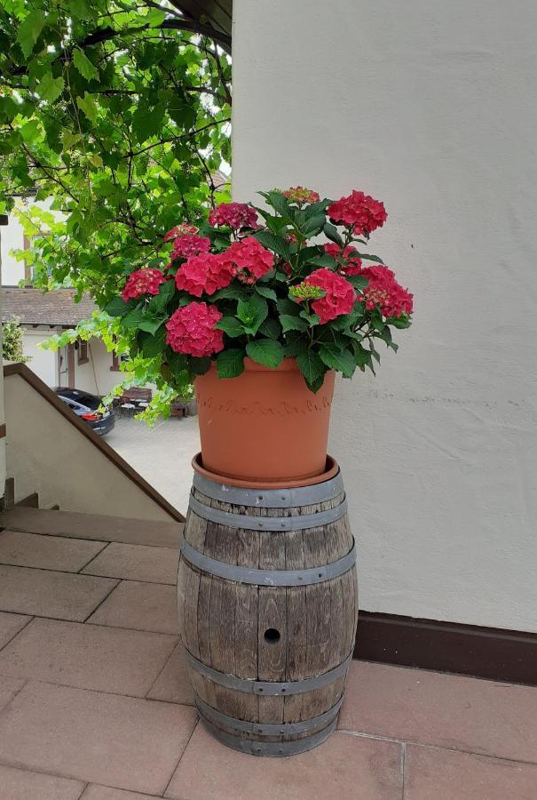 Das Landhotel Weingut Gernert Sankt Martin Eksteriør bilde